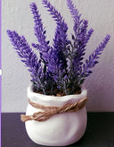 Floris London. Perfume Lavanda 100 Ml. Calidad Premium.